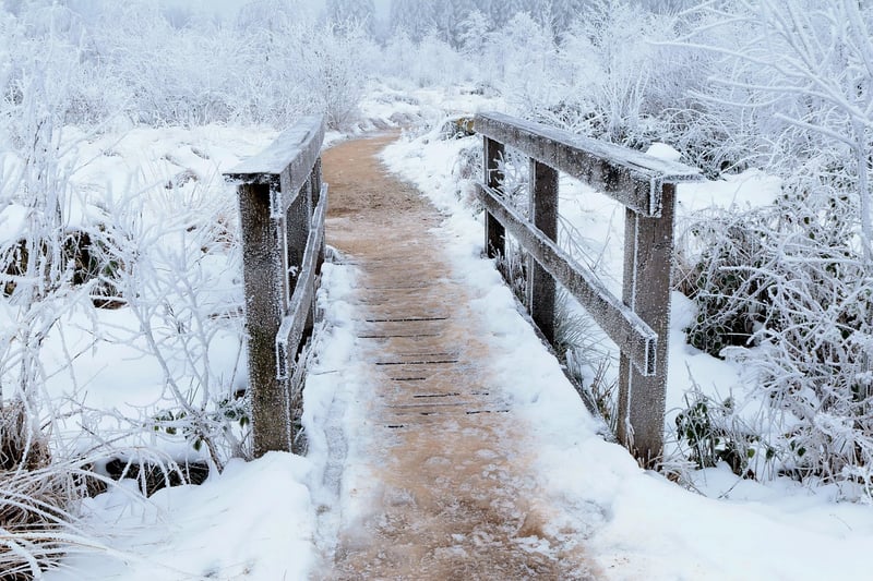 Pixie Pathway Ideas
